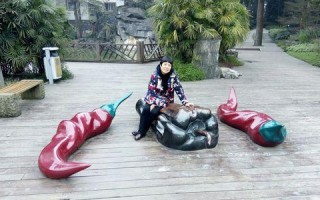 南山公园（探秘南山公园之旅）