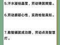 汗水与成功（一个小学生如何用汗水成为班里的佼佼者）