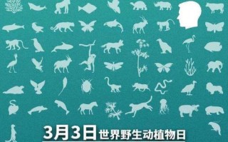 她的梦想，我们的责任；（她的梦想，我们的责任；）
