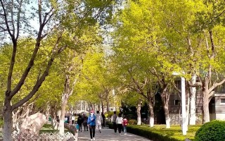 春光明媚（一场春雨后的邂逅）