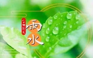 保护自己的故事——伤害,永远不是最好的解决方式 保护自己的故事——伤害,永远不是最好的解决方式