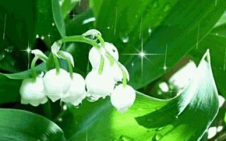 成长的美丽（跨越挑战，展现自我）