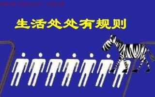 规则下的自由（安娜的冒险之旅）