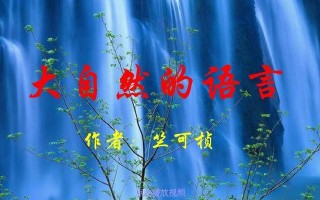 读懂大自然的语言——与老猎人的一次奇遇（用心感受，感知自然之美）