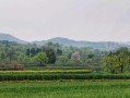 家乡的美景（宜春的美景与人情）