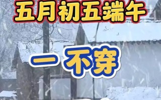 与陌生人的一段故事（与陌生人的一段故事）