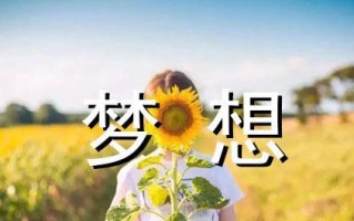 梦想的路（坚持不懈，才能迎来成功）