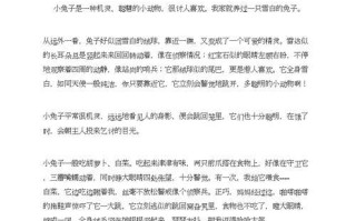 小兔子的冒险之旅（勇敢的小兔子在荒野中寻找归途）