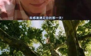 以为这辈子都不会忘记的一天（在一次意外中发现了爱）
