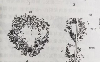 买（一本书带来的启示）