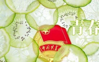 燃情青春（那个年代，我们一起奋斗）