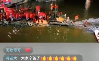 一生只为一场胜利（努力不懈，胜利之光最终照耀）