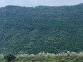 小故事一位乡村孩子的成长历程