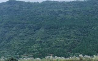 小故事一位乡村孩子的成长历程
