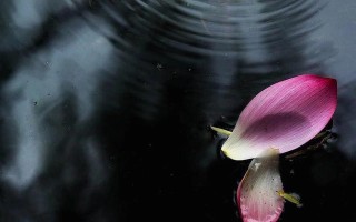 重塑旧日情（岁月无声，回忆永存）