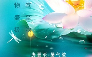 希望的阳光（一个小女孩的成长故事）