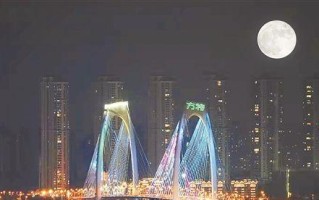 中秋之夜的思绪（怀念与思念，在月光下交织）