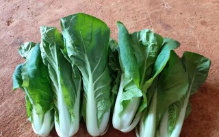 培育好种子(以毅力和耐心迎接未来) 培育好种子(以毅力和耐心迎接未来)