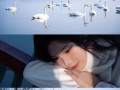 我也是一缕阳光，为世界带来希望（用公益事业传递美好，让阳光照进你我的心灵）