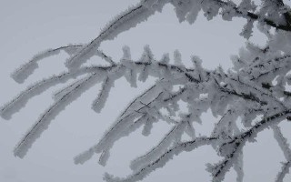 等待的路上(一个人的梦想之路) 等待的路上(一个人的梦想之路)