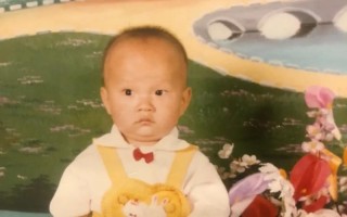 岁月的故事（岁月的故事）
