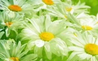 爱在帮助中流淌（小小行动，大大幸福）