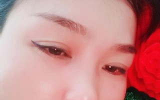 TheLifelongWish（AStoryofPursuingDreamsandOvercomingObstacles）
