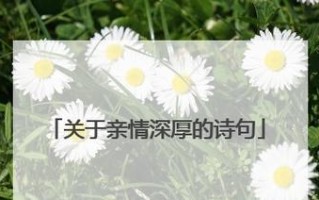 一段深厚的亲情(母爱永存) 一段深厚的亲情(母爱永存)