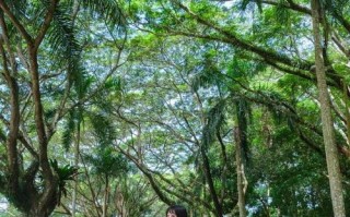 探险之旅（走进神秘的鬼洞）