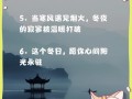 陪伴是最好的温暖（一个失落的孩子找到了自己的家）