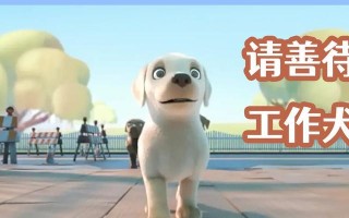 善待友谊的力量