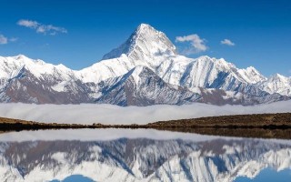 我的梦想——一个让人向往的世界
