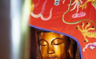 坚持不懈,梦想如虹(一个女孩的逆袭之路) 坚持不懈,梦想如虹(一个女孩的逆袭之路)