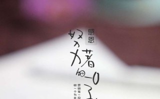 感恩生命,享受每一天(感恩生命,享受每一天) 感恩生命,享受每一天(感恩生命,享受每一天)
