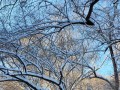雪中遇见（漫步冬日，陶醉白色世界）