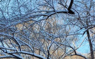 雪中遇见（漫步冬日，陶醉白色世界）