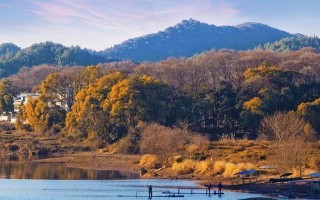 这边风景独好（探寻未知之美）