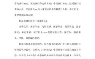 一个女孩子，一场梦想；（从普通人到网球巨星，一个人的拼搏；）