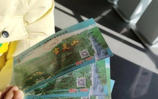 陪伴中成长