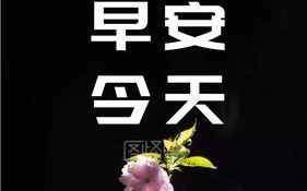 努力奋斗，只争朝夕（一个人的坚持与奋斗）