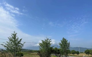 风雨中的彩虹（少年的成长历程）