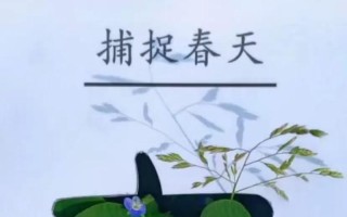 一个平凡人的坚持与成就（一个平凡人的坚持与成就）