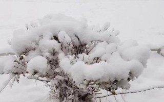 《这个冬天真美》——留下记忆的雪地故事