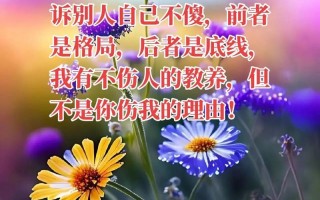 宽容他人的滋味（学会宽容，让生活更美好）