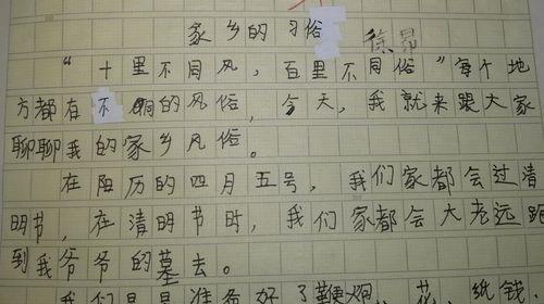 家乡喜庆的祭祀活动（家乡喜庆的祭祀活动）-第3张图片-学作网
