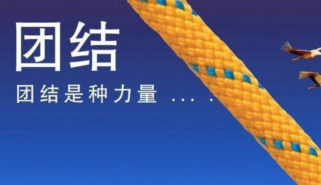 团结的力量-第3张图片-学作网