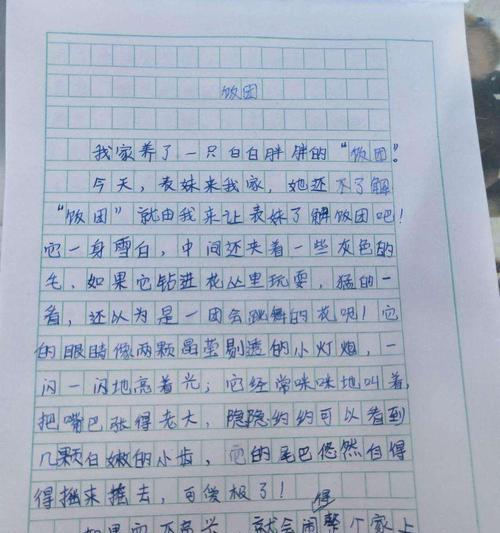和好朋友小明的四年级日记（一起成长，一起闯荡）-第1张图片-学作网