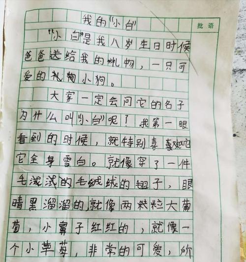 和好朋友小明的四年级日记（一起成长，一起闯荡）-第3张图片-学作网