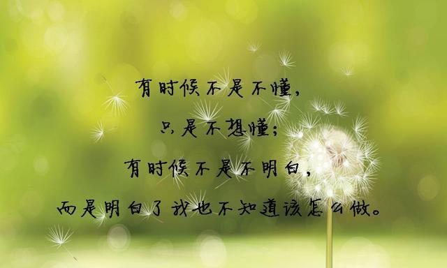 一声问候，照亮了生命的黎明（用亲情演绎人生的感动）-第1张图片-学作网