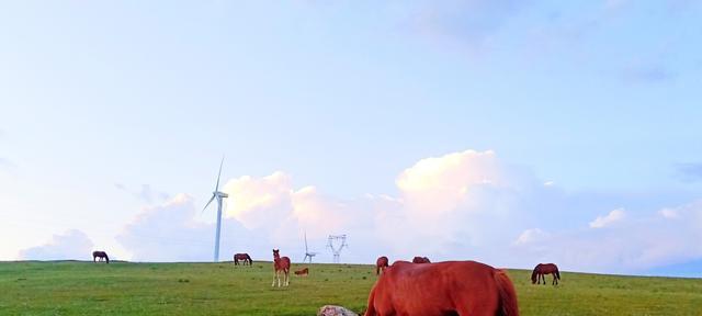 梦想的旅程（拼搏不息，追寻梦想的脚步从未停歇）-第3张图片-学作网